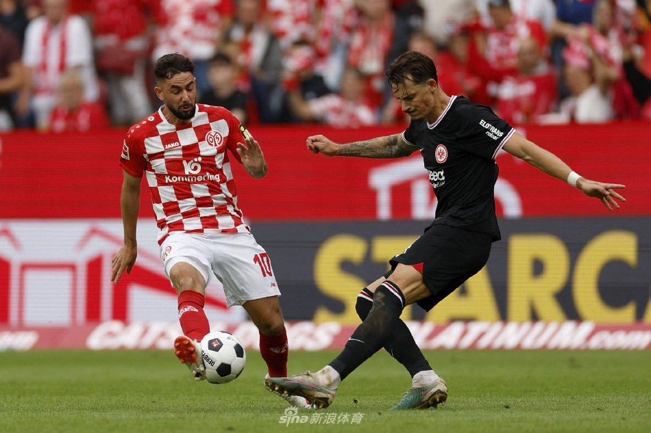 到网球运动 到网球运动